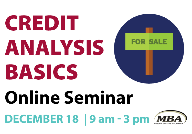 Credit Analysis Basics Online Seminar logo